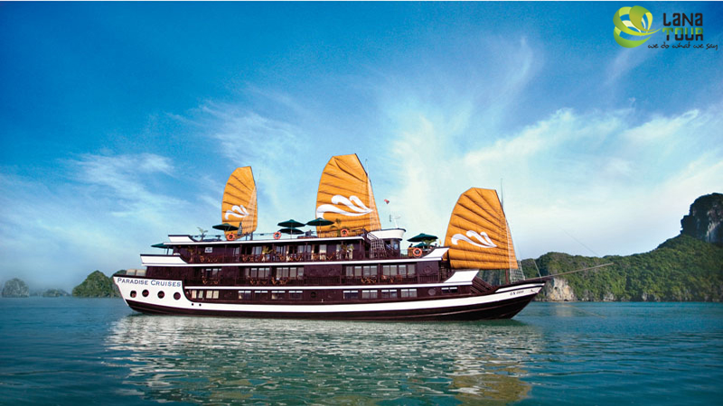 PARADISECRUISE